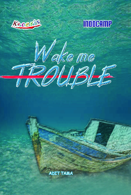 Sampul buku Wake Me Trouble